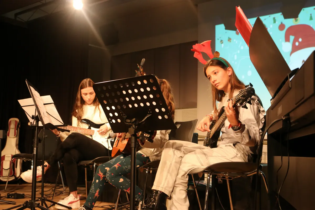Imatge del concert