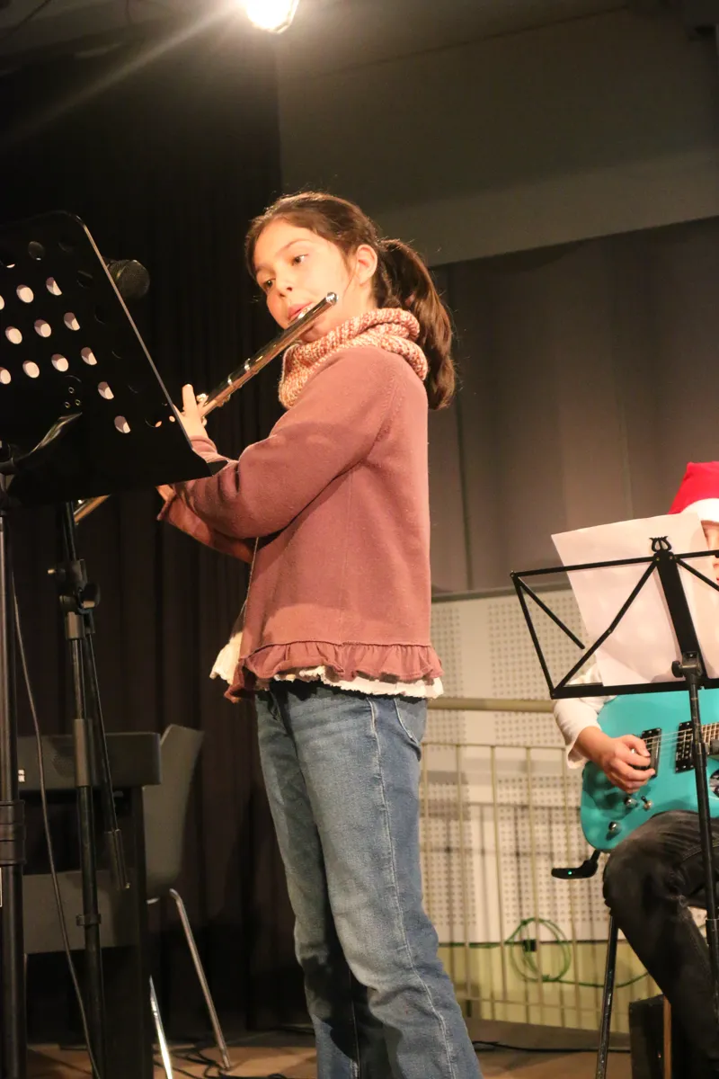 Imatge del concert